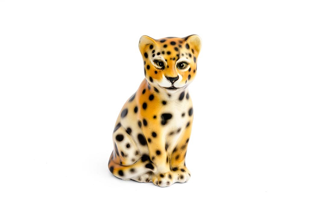 Leopardo Mini