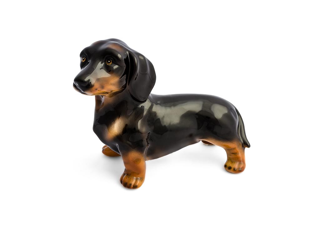 Basset daschund hot sale