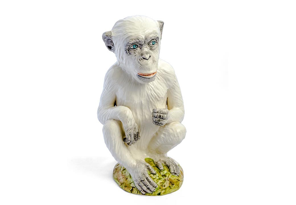 Macaco Branco 