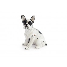 Cachorro Buldogue Françês Branco