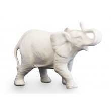 Elefante branco